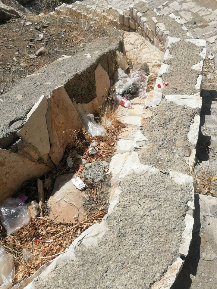 پراکندگی زباله