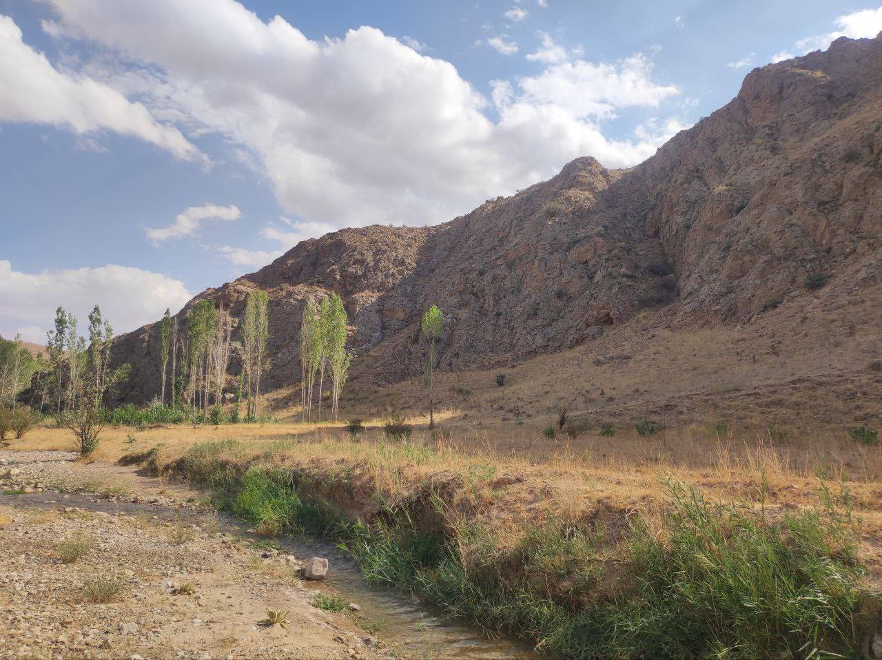 طبیعت کوه