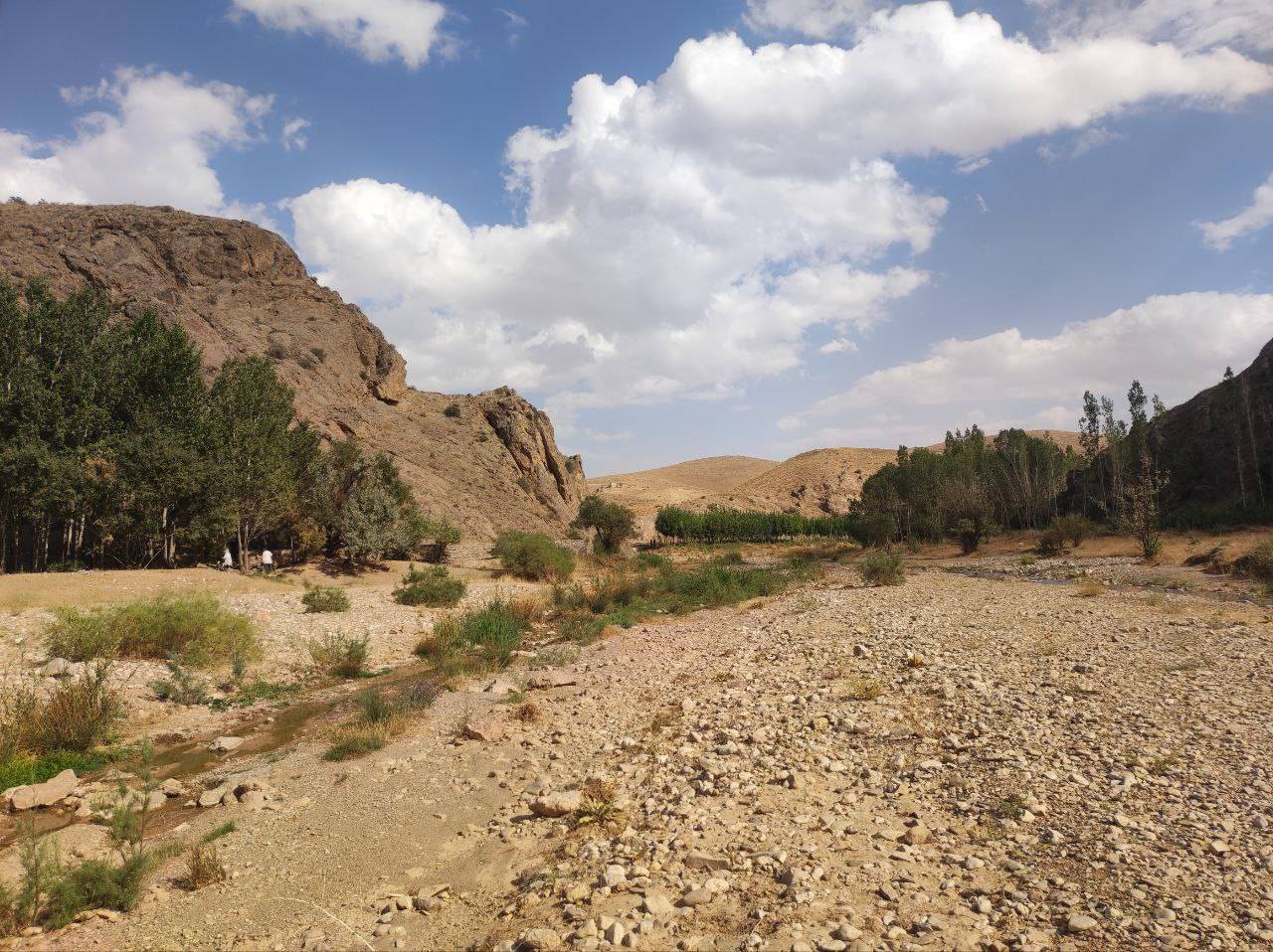 جلوه گری طبیعت