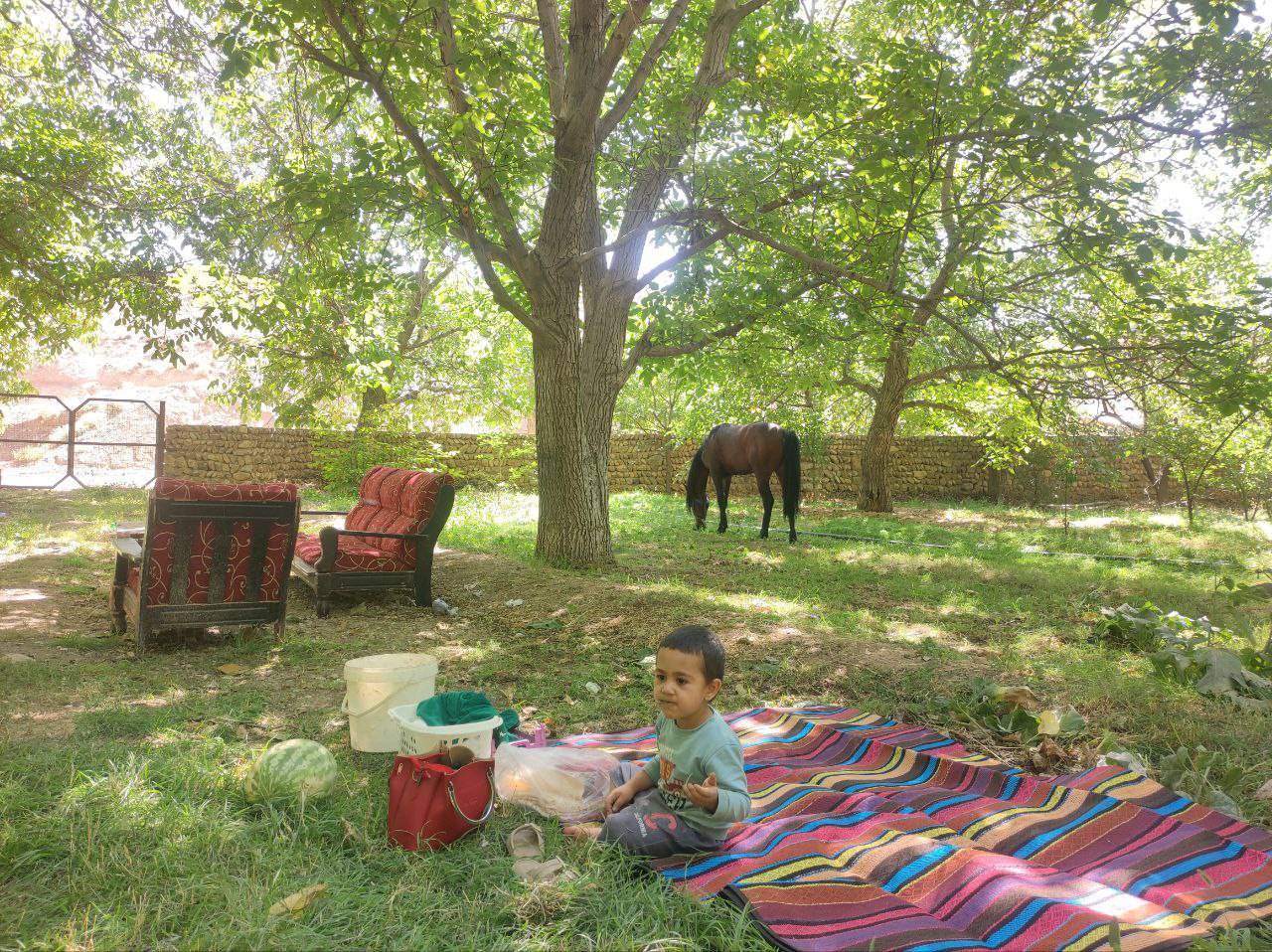 باغ های روستایی