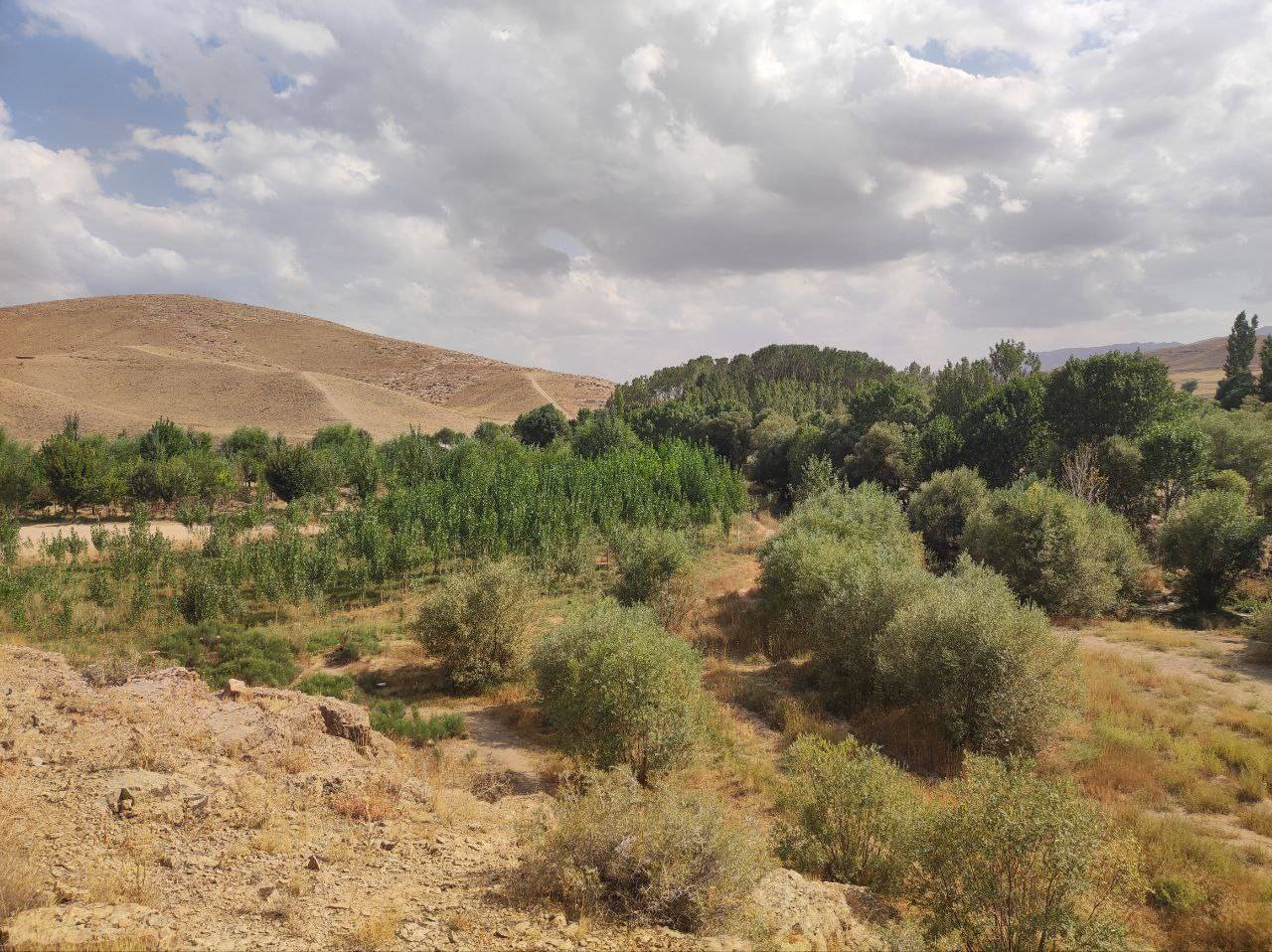 روستا