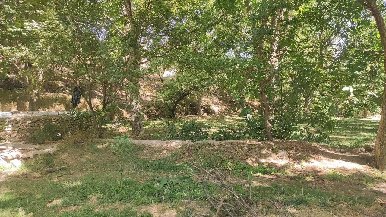 طبیعت