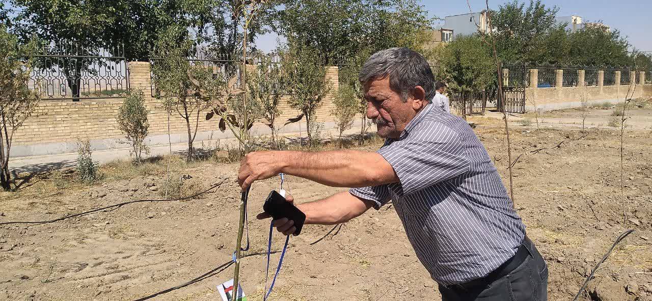 کاشت درخت به یاد شهید