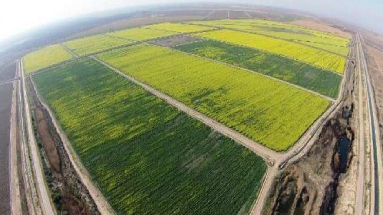 بازگشت زمین‌های ملی چهارمحال و بختیاری به بیت‌المال