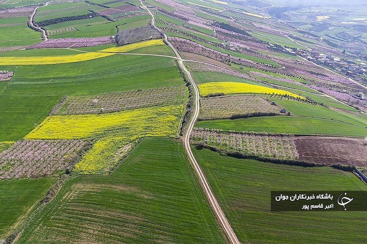ورود سامانه بارشی جدید به کشور