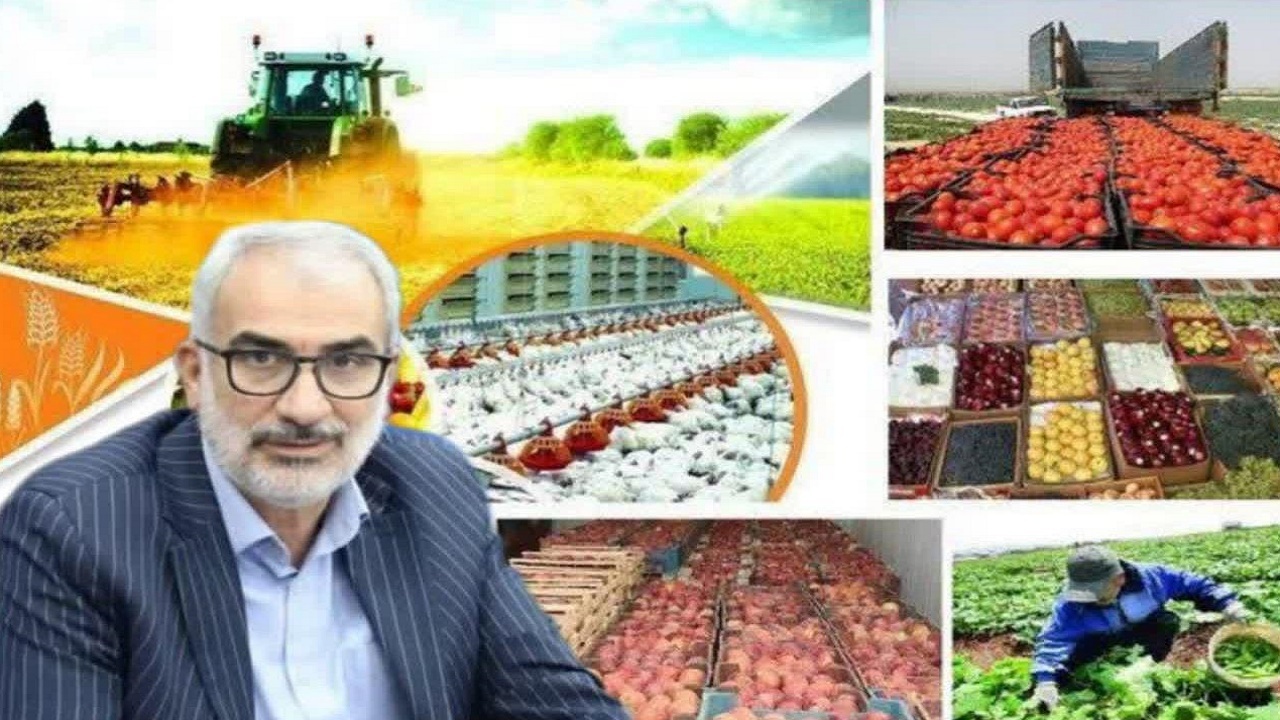 مازندران آماده تأمین محصولات کشاورزی کشور 