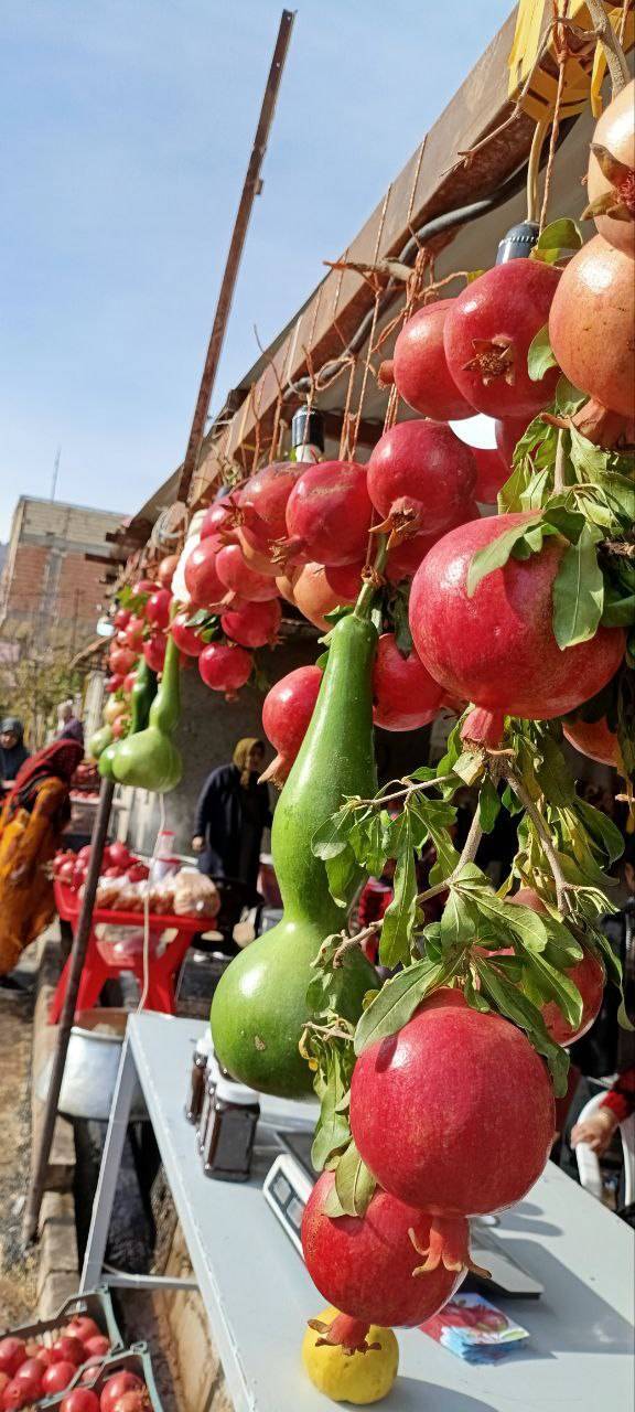 جشنواره انار