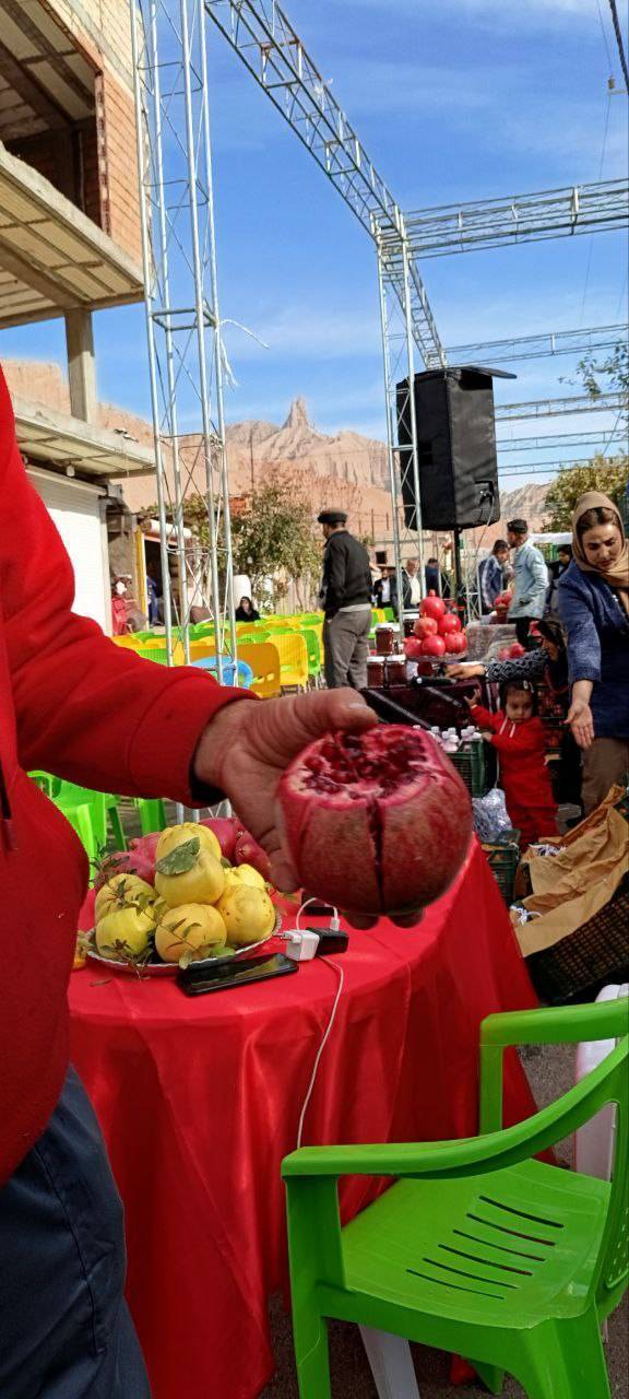 برگزاری جشنواره انار