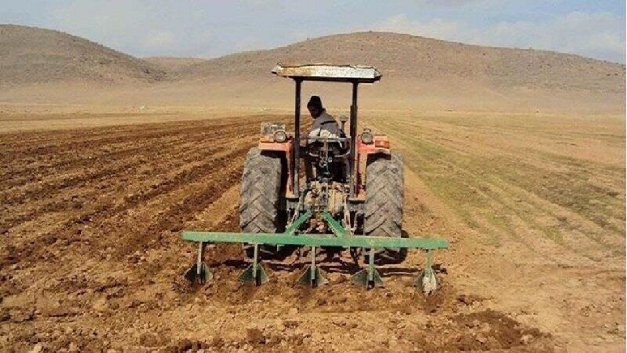 لرستان جزو استان‌های برگزیده طرح جهش تولید در دیمزار‌ها شد