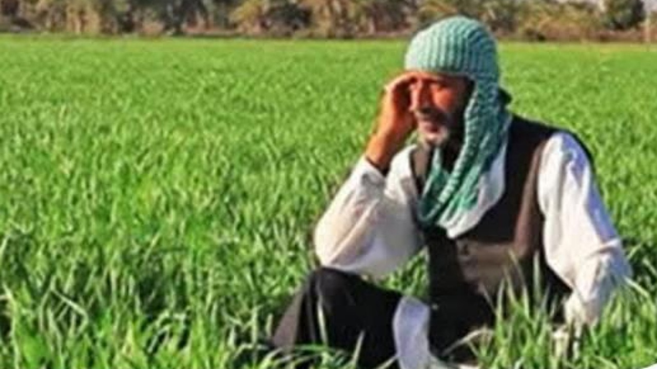 یوسف سلیمی یوسف سلیمی