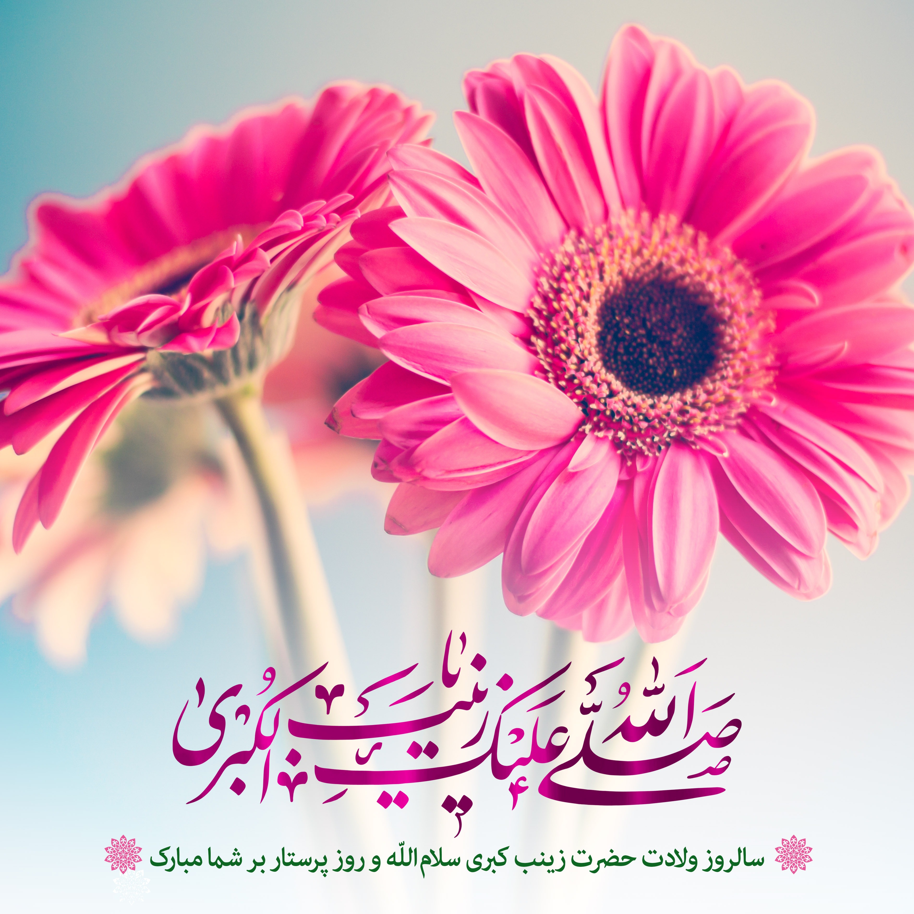 میلاد حضرت زینب (س) و روز پرستار