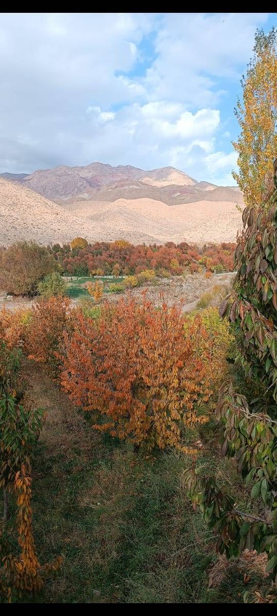 جلوه گری پاییز