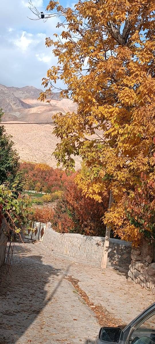 طبیعت پاییزی