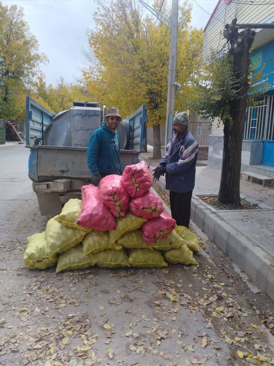 حمل بار سیب زمینی توسط کشاورزان