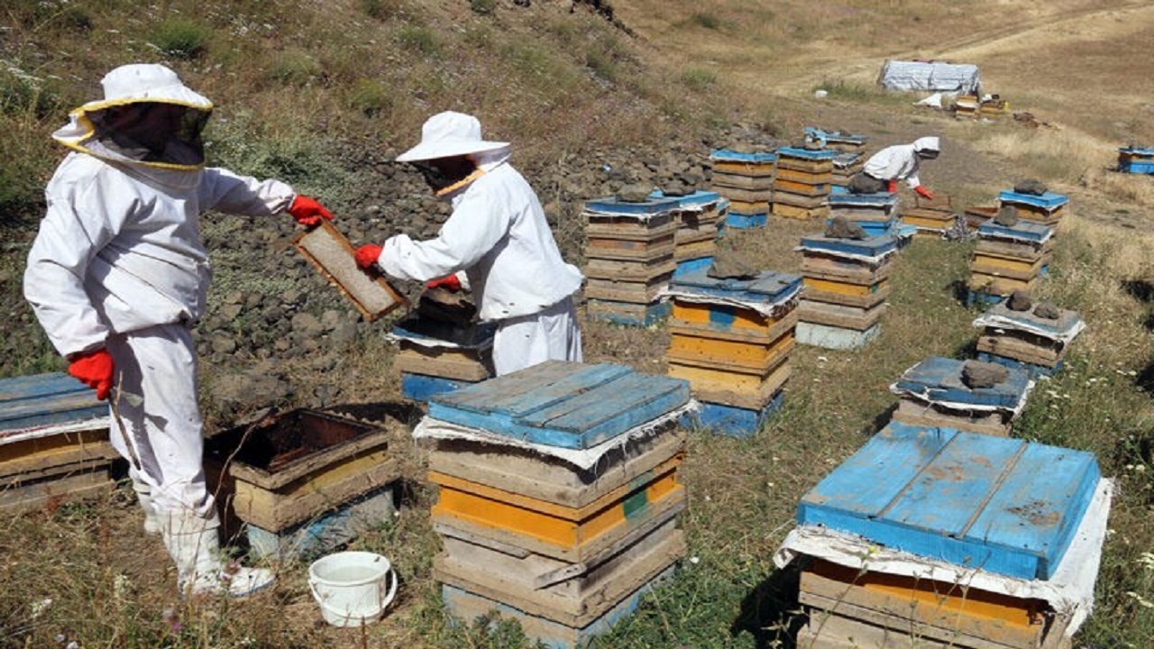 اختصاص ۱۵ میلیارد تومان برای توانمند سازی مددجویان خراسان شمالی