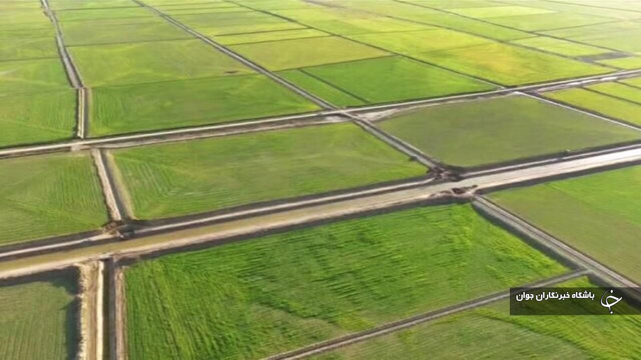 رفع تداخل ۲۱۸۱ پلاک از اراضی کشاورزی آذربایجان‌غربی