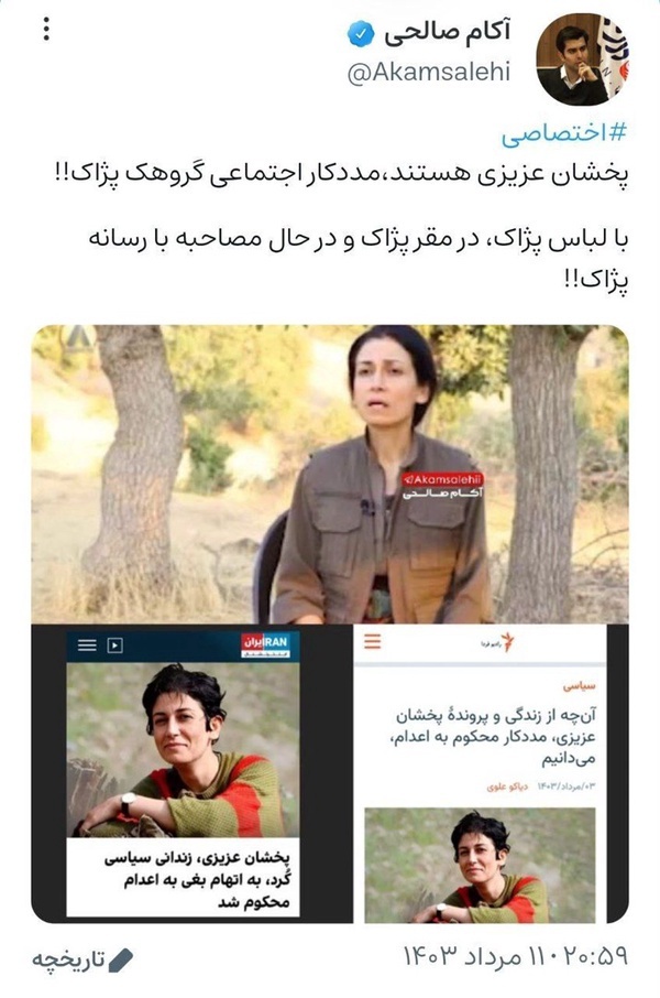 مددکار و فعال سیاسی