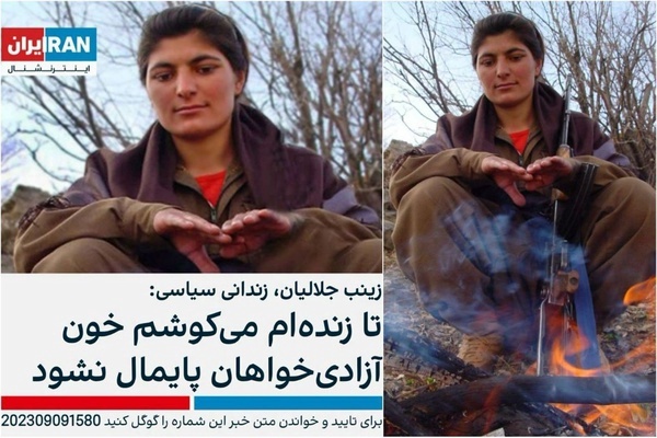 زن تجزیه&zwnj;طلب