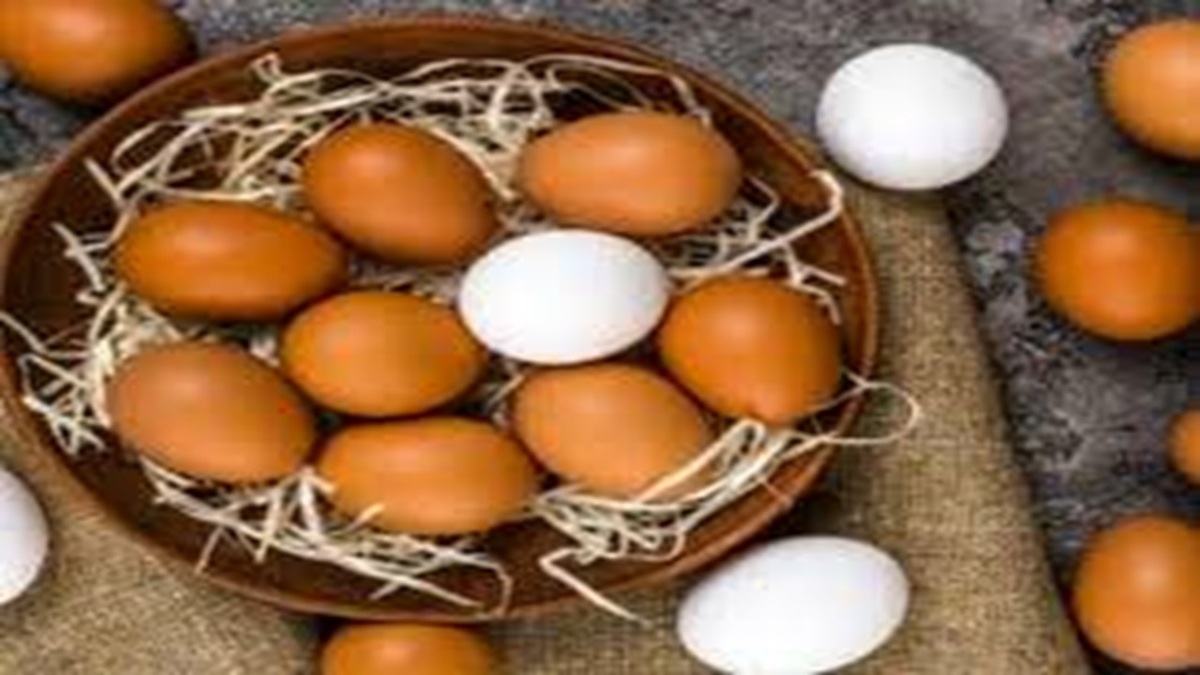 توصیه‌هایی درباره مصرف متعادل خرما + فیلم