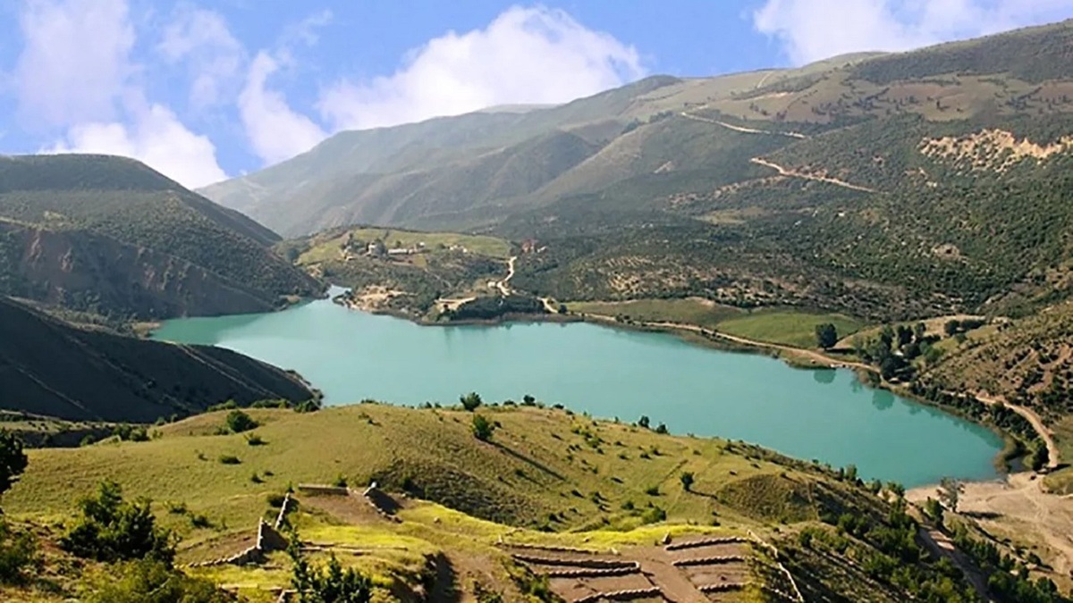 پرندگان مهاجر مهمان زمستانی تالاب هیرم اوز + فیلم