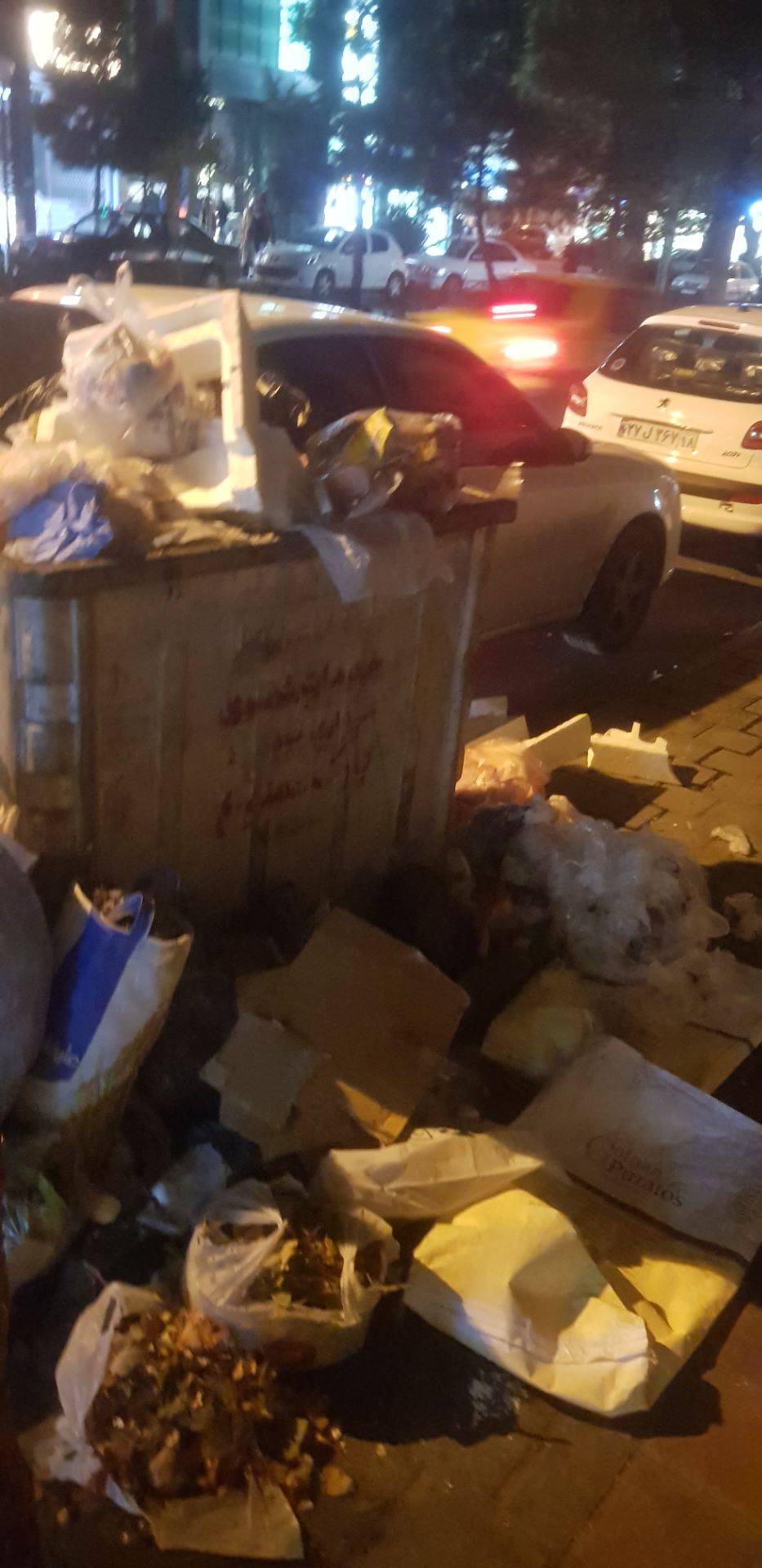 انباشت زباله در معابر همدان