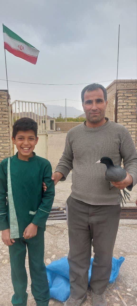 پرنده مهاجر آسیایی آسیایی تحویل محیط زیست داده شد