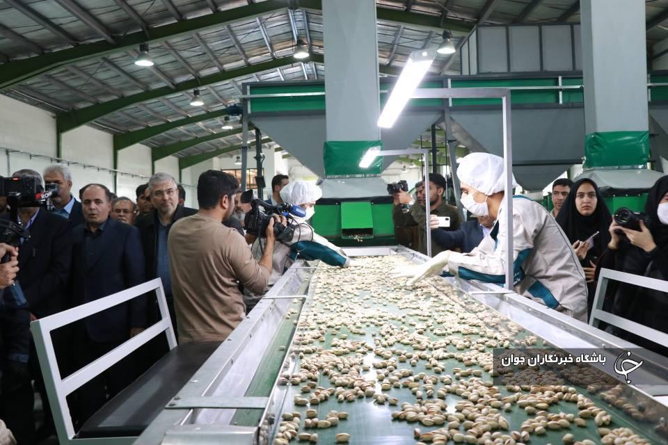 سفر وزیر جهاد کشاورزی و رئیس انرژی اتمی به رفسنجان