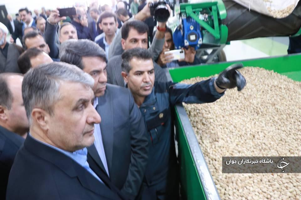 سفر وزیر جهاد کشاورزی و رئیس انرژی اتمی به رفسنجان