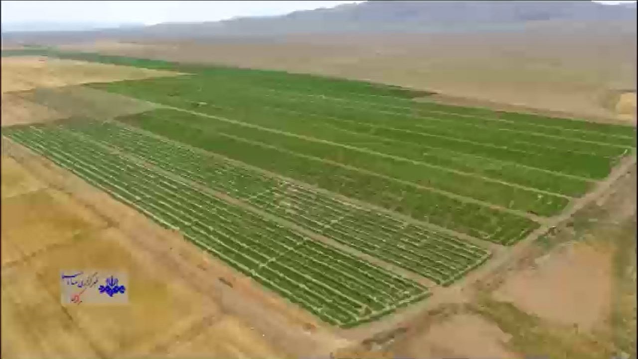 حدنگاری رایگان زمین‌ کشاورزی + فیلم