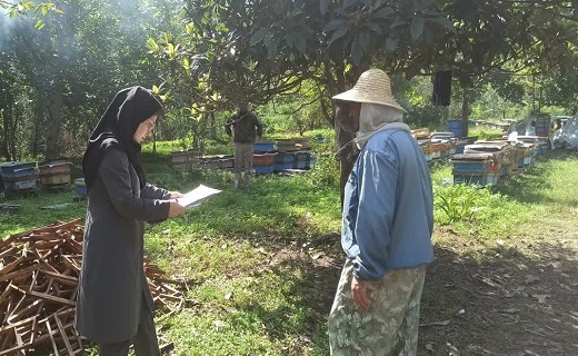پایان سرشماری زنبورستان&zwnj;های گیلان