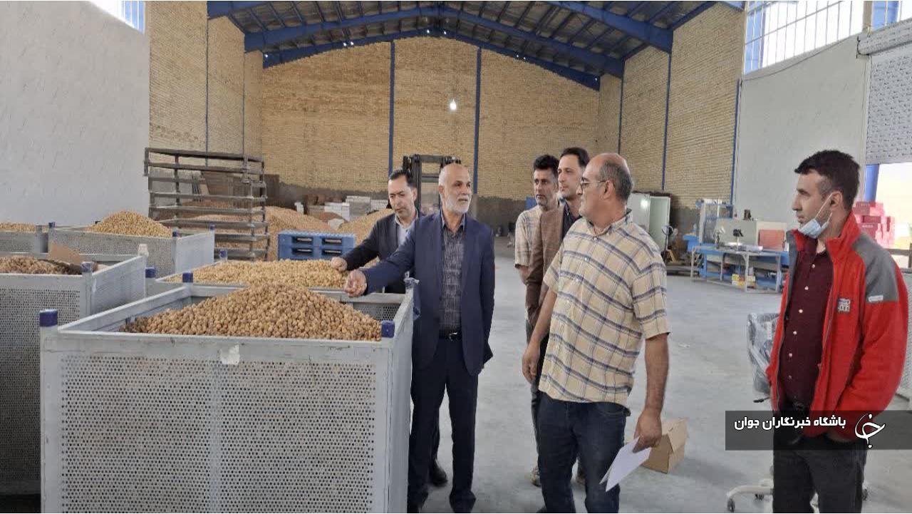 مطالعه بازار‌های هدف جدید در دستورکار کنسرسیوم انجیر استهبان
