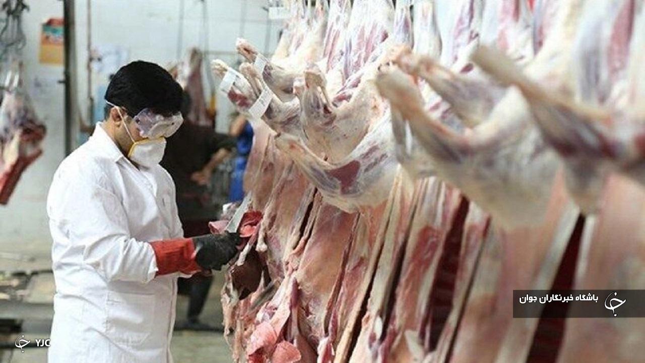 بیش از ۶ درصد گوشت قرمز کشور در آذربایجان‌غربی تولید می‌شود