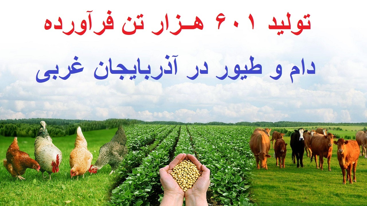 تولید ۶۰۱ هزار تن محصولات دام و طیور در آذربایجان غربی