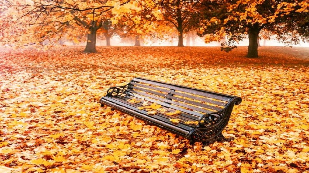 پاییز زیبای کاخ سعدآباد تهران + فیلم