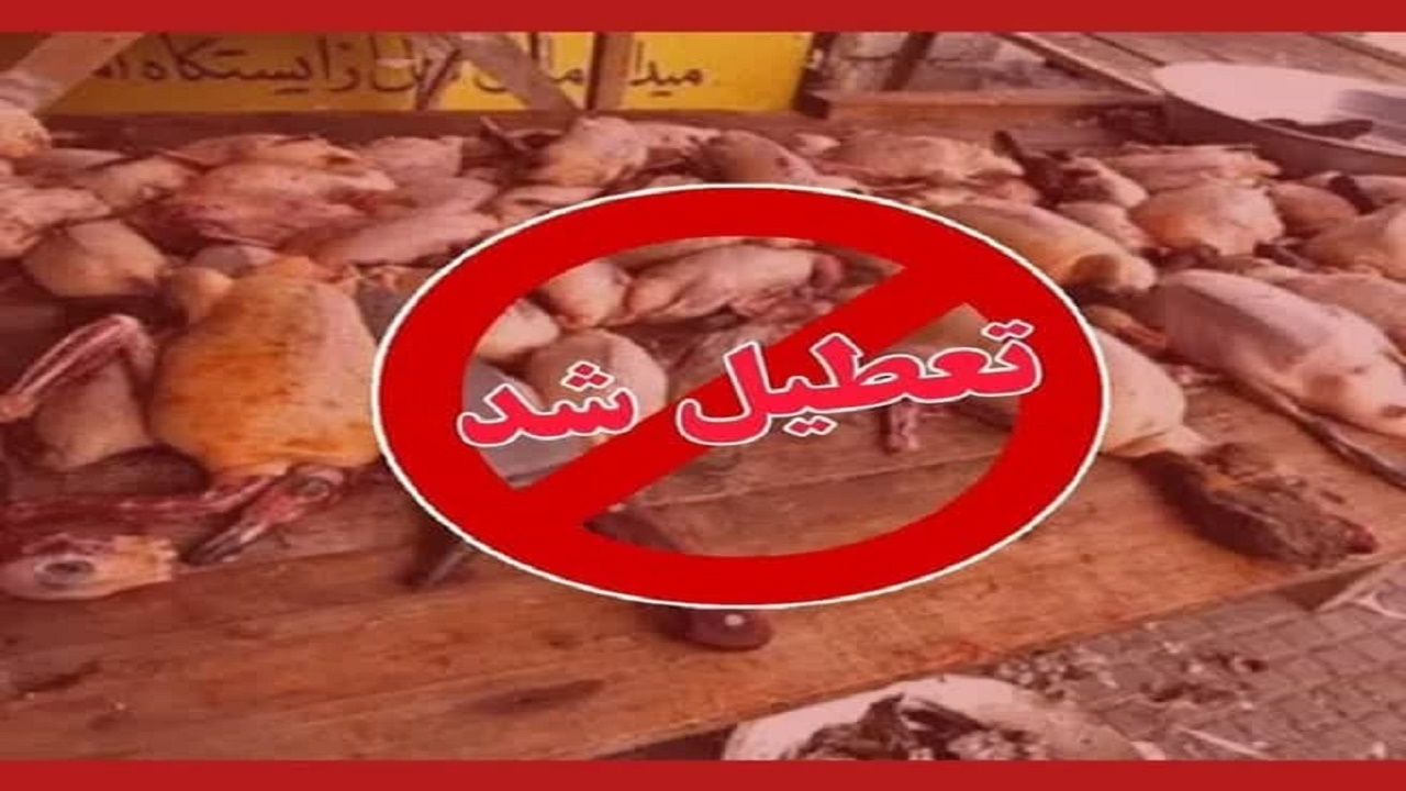 تعطیلی بازار غیرقانونی فروش پرندگان وحشی در فریدونکنار 