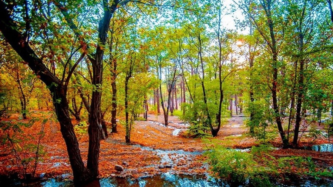 دمای هوا در استان همدان به زیر صفر رسید