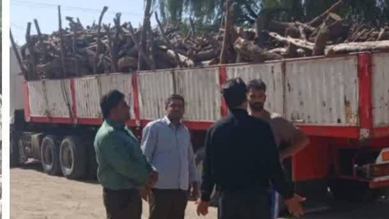 کشف ۲۰ تن چوب قاچاق در شهرستان ریگان