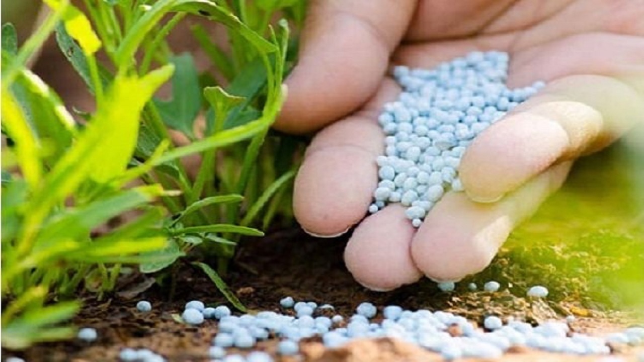 تامین ۳ میلیون تن کود برای سال زراعی جدید