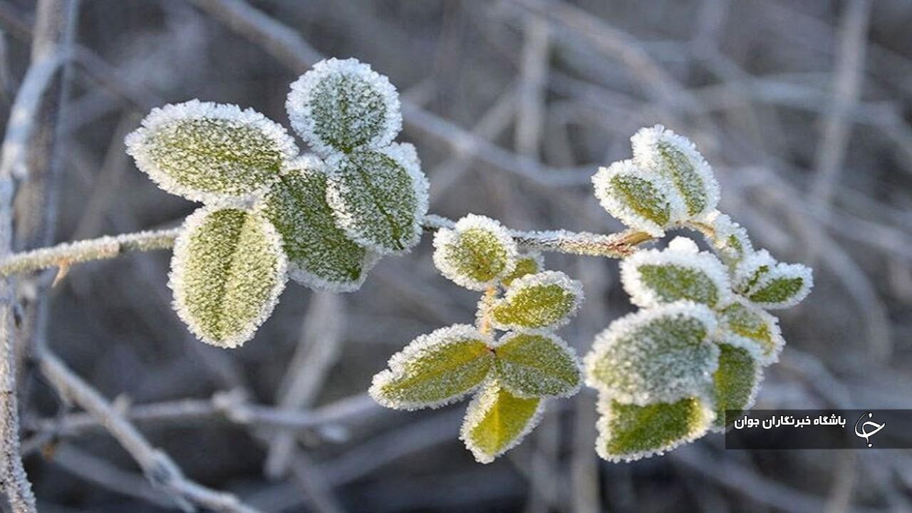 سوز سرمای پاییزی در آذربایجان‌غربی بیشتر شد