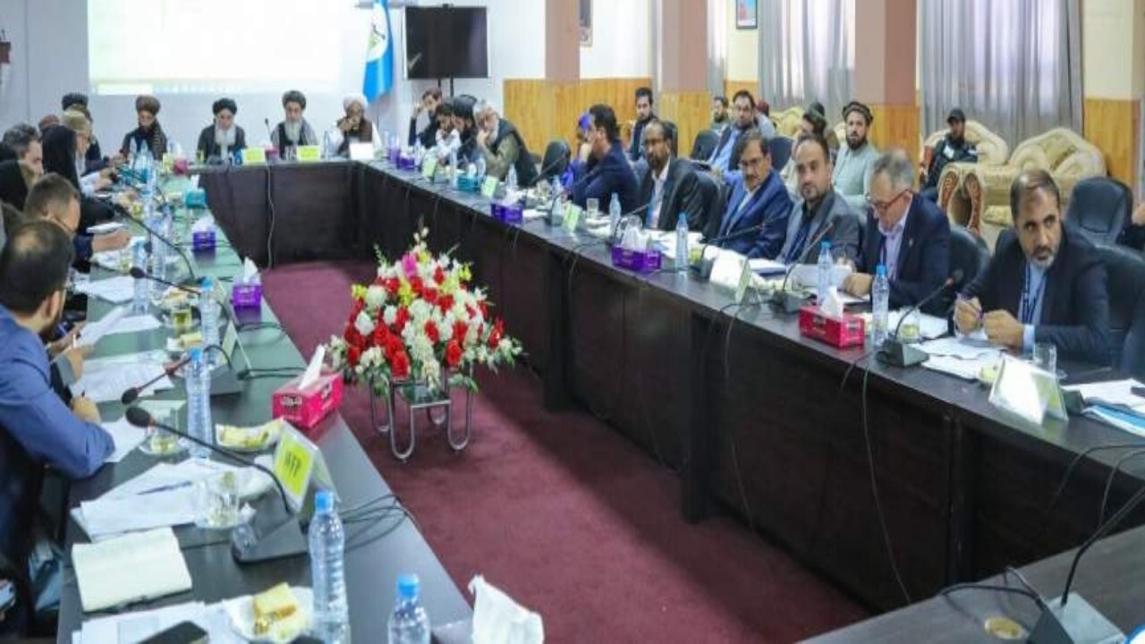 طالبان خواستار همکاری نهادهای سازمان ملل با حکومت سرپرست شد