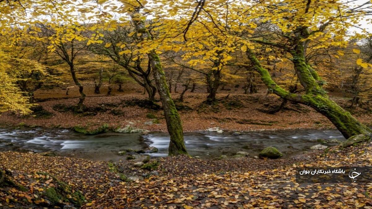باشگاه خبرنگاران -شدت سرمای پاییزی در آذربایجان‌غربی کمتر شد