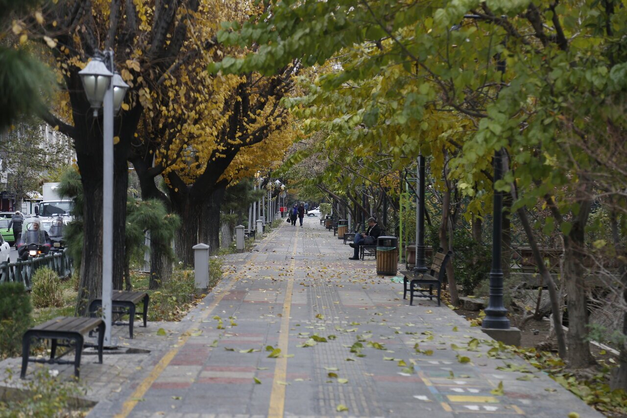 بلوار کشاورز بلوار کشاورز