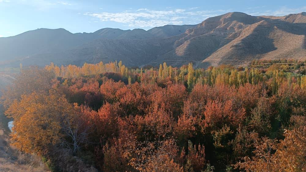 طبیعت پاییزی