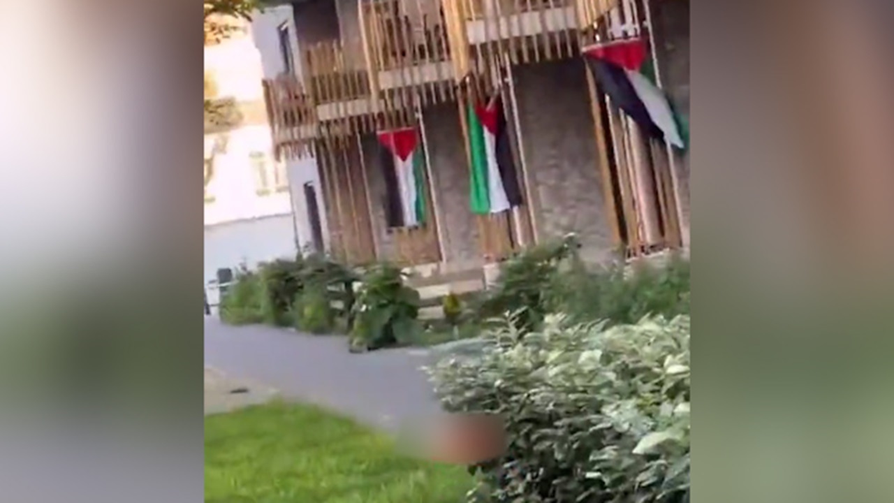 آرمان فلسطین آزاد در قلب مردم هلند + فیلم