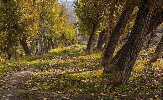 طبیعت پاییزی روستای سنجگان