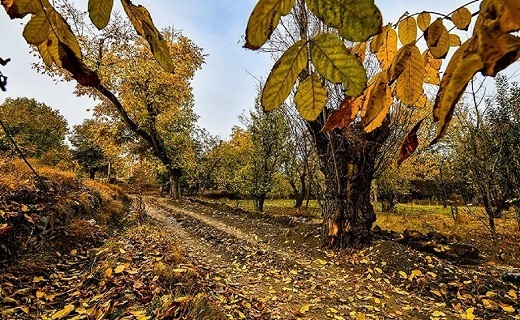 طبیعت پاییزی روستای سنجگان