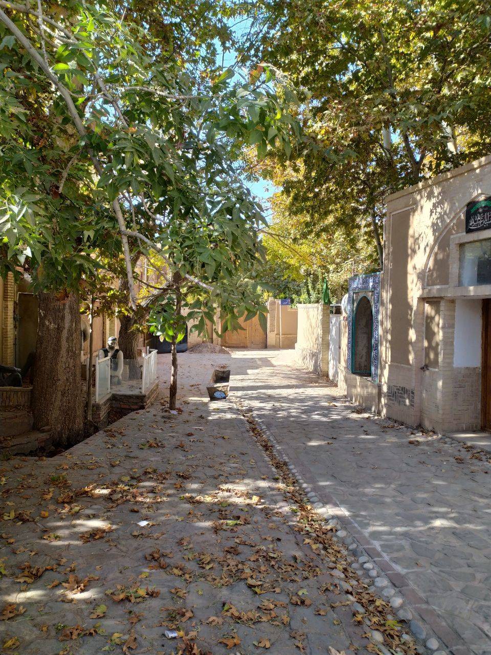 نمای پاییزی در روستای داوران