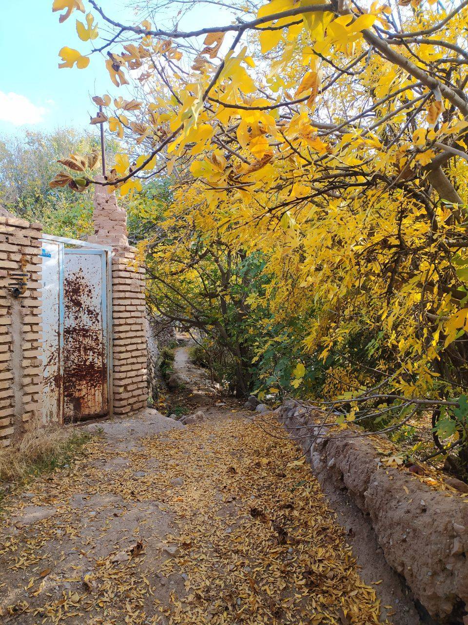 کوچه پس کوچه های روستای داوران