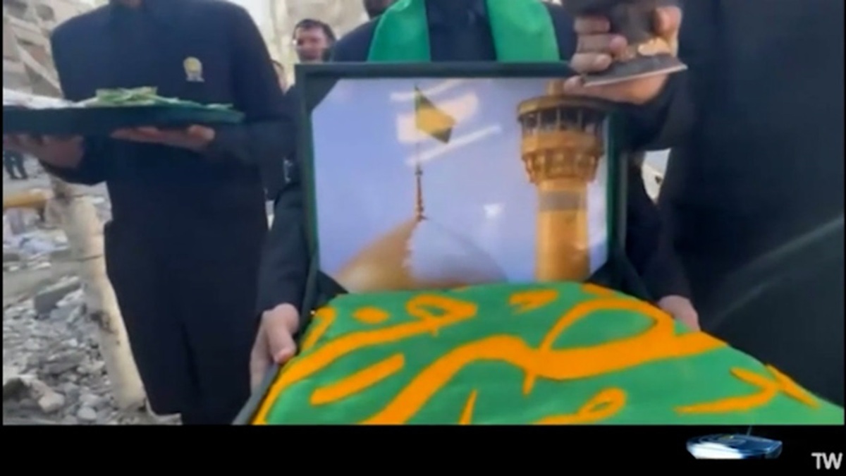 مشهد الرضا غرق در سرور و شادی + فیلم
