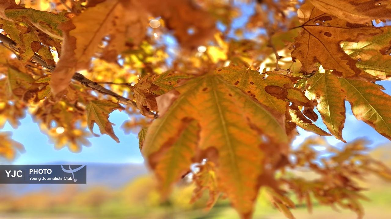 طراوت رنگ ها در پاییز پارک آبشار طلایی خرم آباد